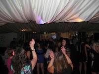 DOMS DISCO Wedding and Party Entertainment 1088470 Image 9